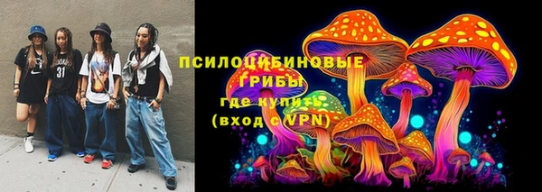 гидропоника Богданович